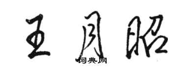 駱恆光王月昭行書個性簽名怎么寫