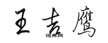 駱恆光王吉鷹行書個性簽名怎么寫
