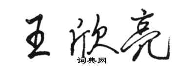 駱恆光王欣亮行書個性簽名怎么寫