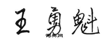 駱恆光王勇魁行書個性簽名怎么寫