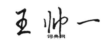 駱恆光王帥一行書個性簽名怎么寫