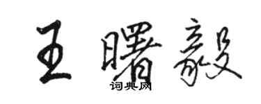 駱恆光王曙毅行書個性簽名怎么寫