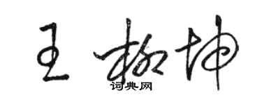 駱恆光王柳坤草書個性簽名怎么寫