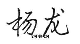 駱恆光楊龍行書個性簽名怎么寫