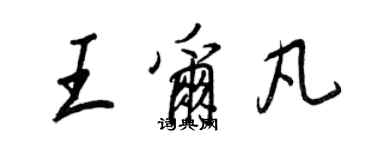 王正良王爾凡行書個性簽名怎么寫