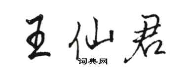 駱恆光王仙君行書個性簽名怎么寫