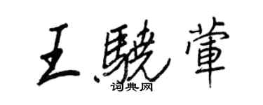 王正良王驍葷行書個性簽名怎么寫