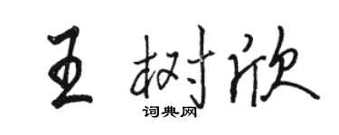 駱恆光王樹欣行書個性簽名怎么寫