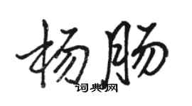 駱恆光楊腸行書個性簽名怎么寫