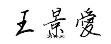 王正良王景愛行書個性簽名怎么寫