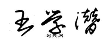 朱錫榮王學潛草書個性簽名怎么寫