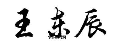 胡問遂王東辰行書個性簽名怎么寫
