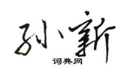 駱恆光孫新行書個性簽名怎么寫