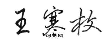 駱恆光王寒枚行書個性簽名怎么寫