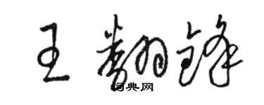 駱恆光王翻鋒草書個性簽名怎么寫