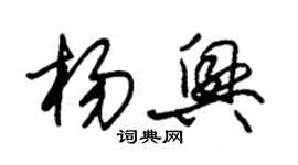 朱錫榮楊興草書個性簽名怎么寫