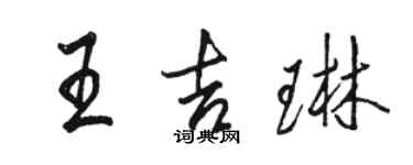駱恆光王吉琳行書個性簽名怎么寫