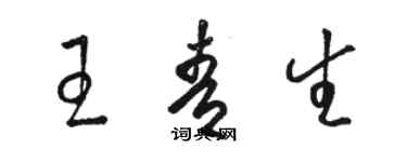 駱恆光王青生草書個性簽名怎么寫