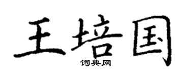 丁謙王培國楷書個性簽名怎么寫