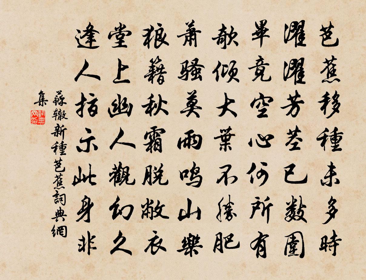 蘇轍新種芭蕉書法作品欣賞