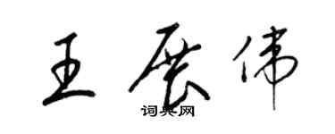 梁錦英王展偉草書個性簽名怎么寫