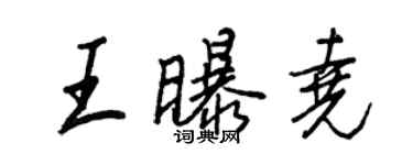 王正良王曝堯行書個性簽名怎么寫