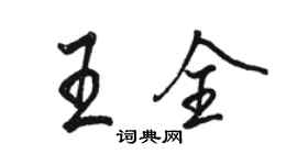 駱恆光王全行書個性簽名怎么寫