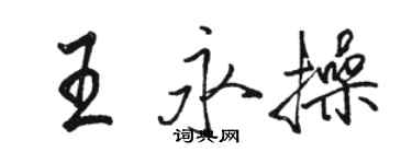 駱恆光王永操行書個性簽名怎么寫