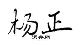 曾慶福楊正行書個性簽名怎么寫