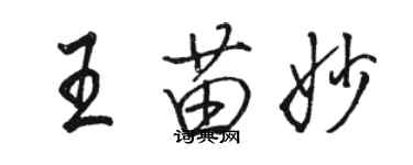 駱恆光王苗妙行書個性簽名怎么寫