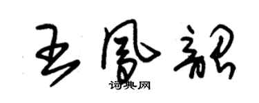 朱錫榮王鳳韶草書個性簽名怎么寫