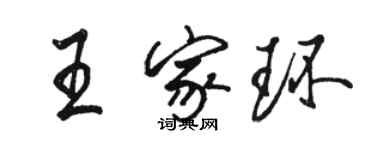 駱恆光王家環行書個性簽名怎么寫