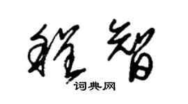 朱錫榮程智草書個性簽名怎么寫