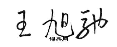 駱恆光王旭馳草書個性簽名怎么寫