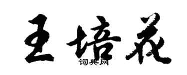 胡問遂王培花行書個性簽名怎么寫