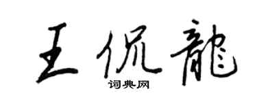 王正良王侃龍行書個性簽名怎么寫