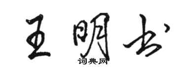 駱恆光王明書行書個性簽名怎么寫
