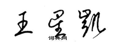 梁錦英王星凱草書個性簽名怎么寫