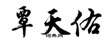 胡問遂覃天佑行書個性簽名怎么寫