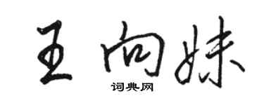 駱恆光王向妹行書個性簽名怎么寫