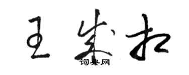 駱恆光王成相草書個性簽名怎么寫