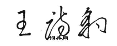 駱恆光王詩豹草書個性簽名怎么寫