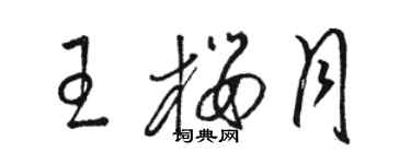 駱恆光王櫻月草書個性簽名怎么寫