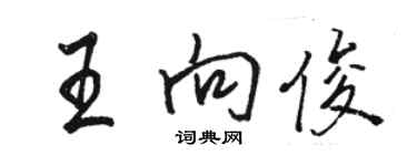 駱恆光王向俊行書個性簽名怎么寫