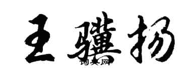 胡問遂王驥揚行書個性簽名怎么寫