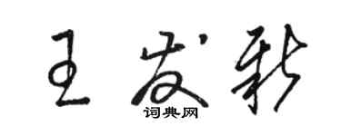 駱恆光王發新草書個性簽名怎么寫