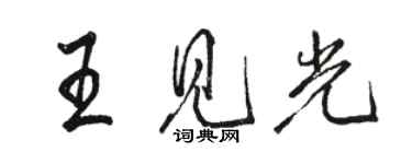 駱恆光王見光行書個性簽名怎么寫