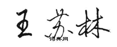 駱恆光王蘇林行書個性簽名怎么寫