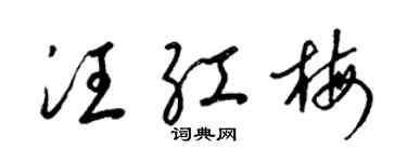 梁錦英汪紅梅草書個性簽名怎么寫