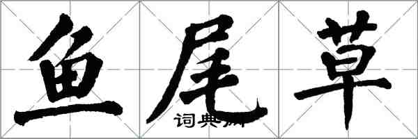 翁闓運魚尾草楷書怎么寫